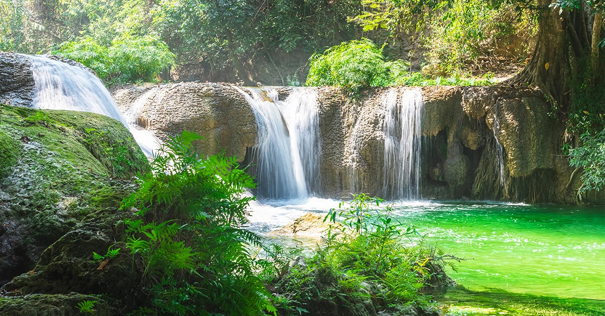 Understanding the Health Benefits of Ionized Water