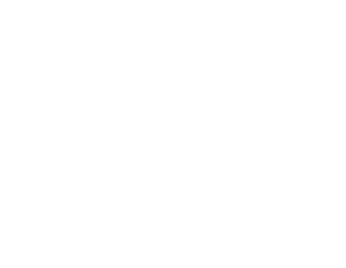 White blu logo